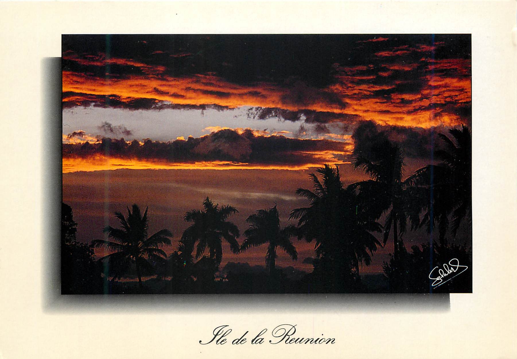 CPM Ile de la Reunion Coucher de soleil Allee de Cocotiers 