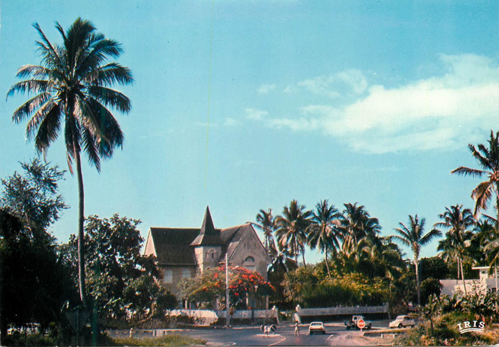 CPM La Reunion Saint Paul Au milieu des cocotiers 