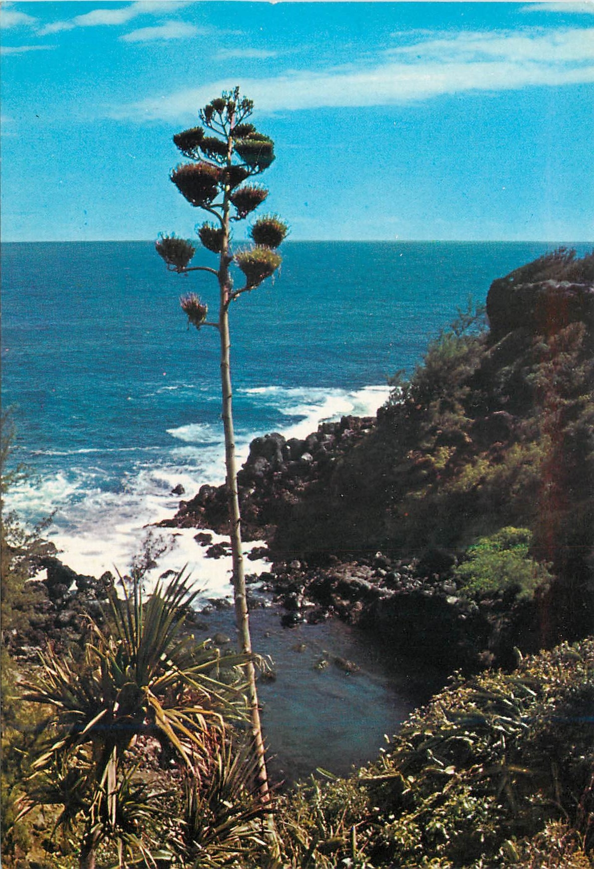 CPM Ile de la Reunion Cote sauvage du sud 
