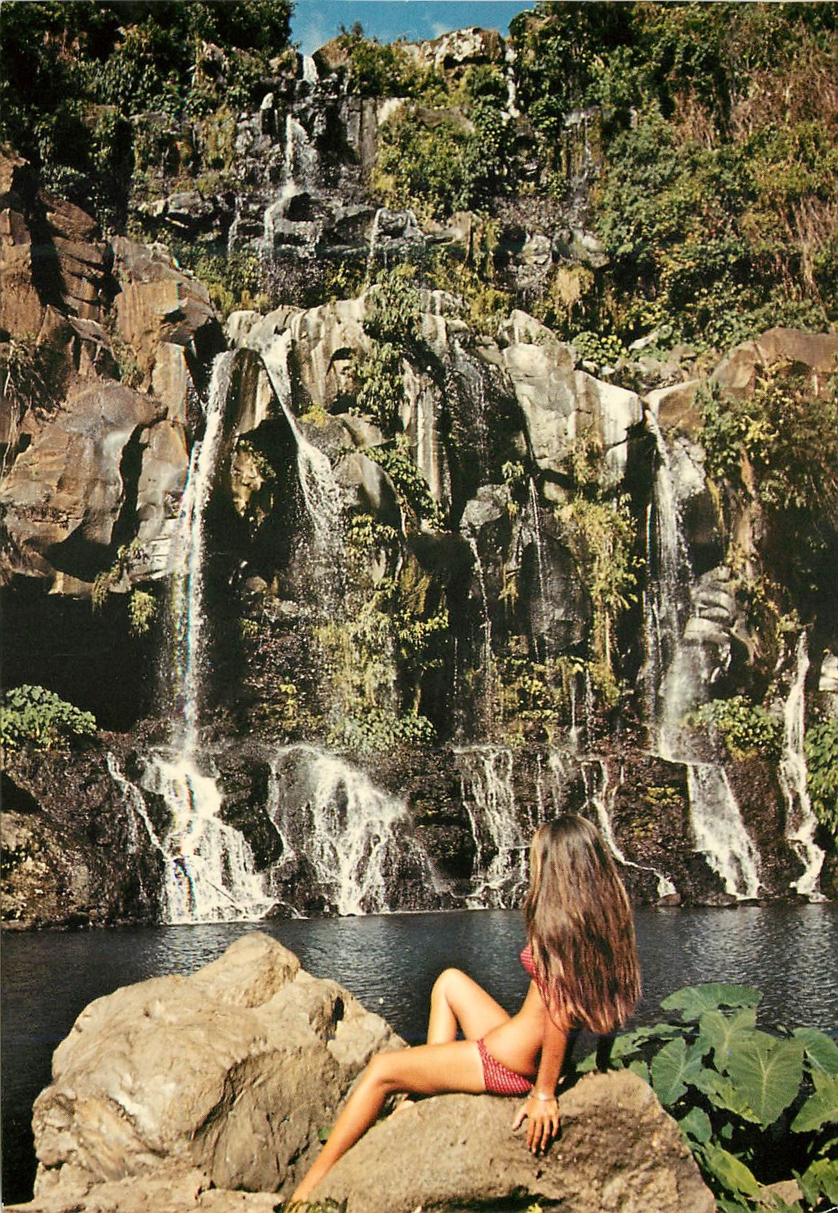 CPM Ile de la Reunion St Gilles Le bassin des Aigrettes 