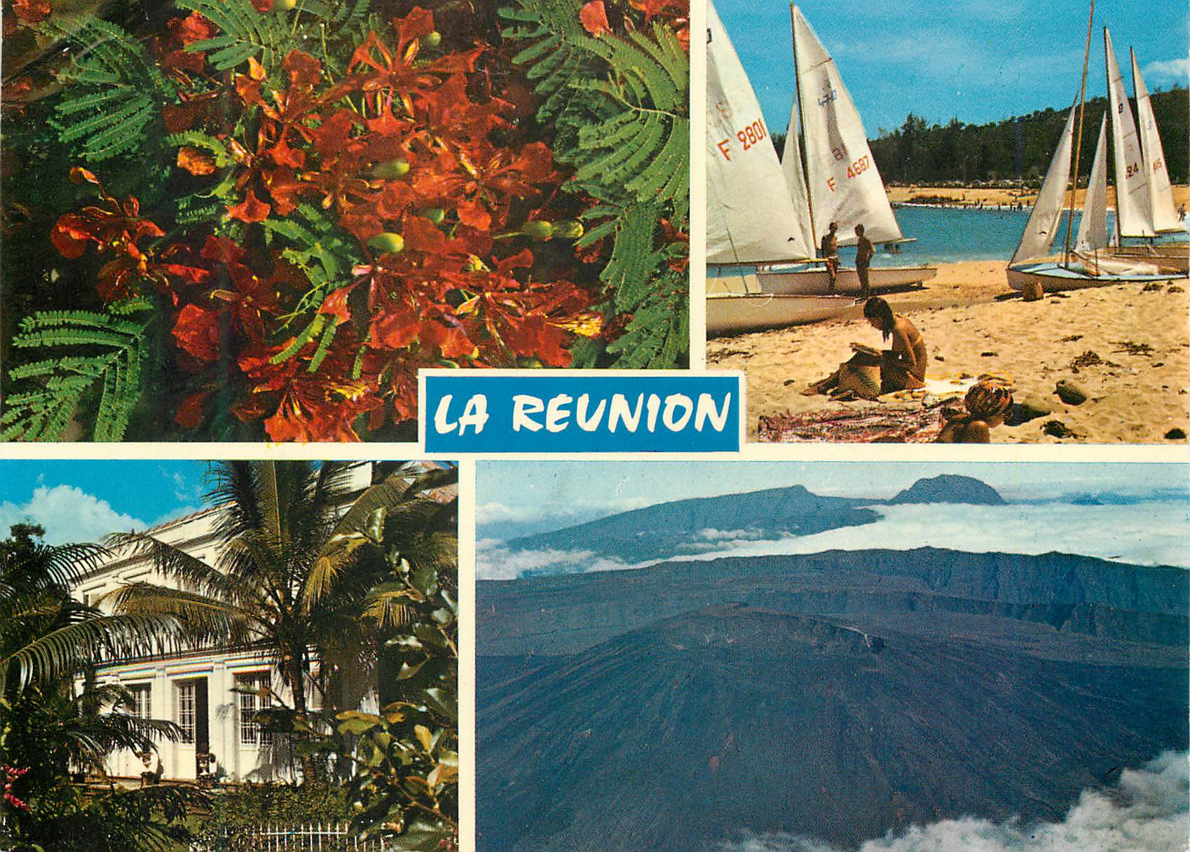 CPM Ile de la Reunion Fleurs de flamboyants le club nautique a Saint Gilles Maison Creole 