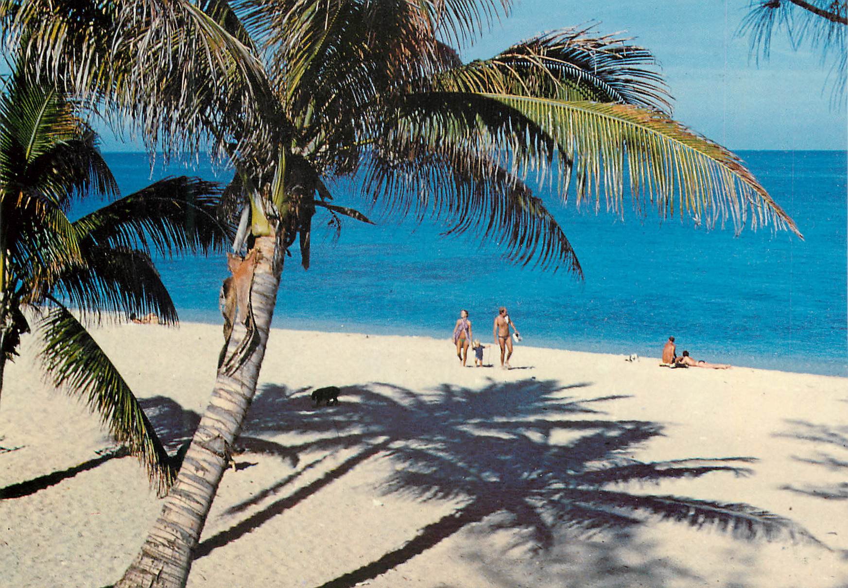 CPM Ile de la Reunion Plage de Boucan Canot St Gilles 