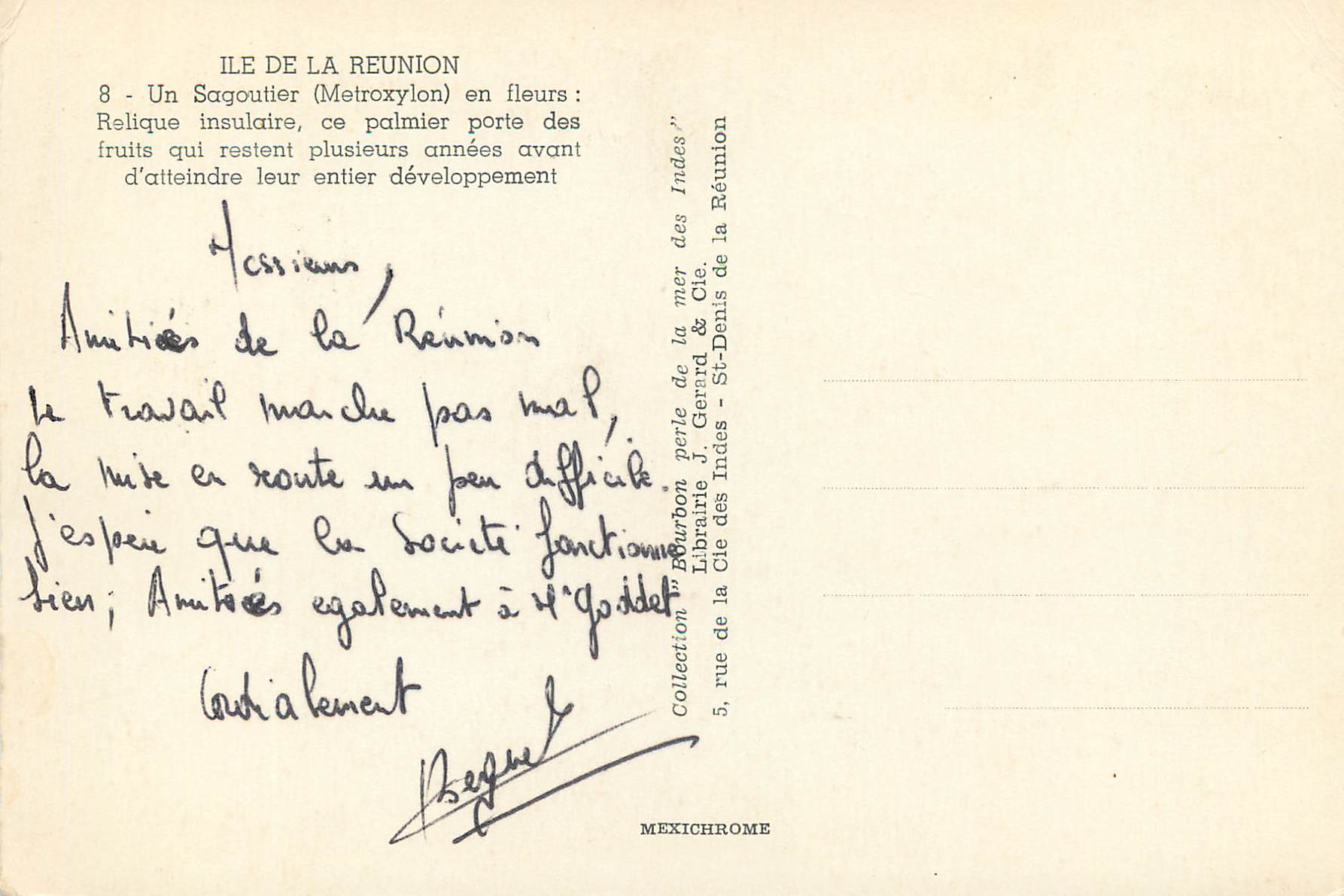 CPM Ile de la Reunion Un sagoutier en fleurs  — Rückseite