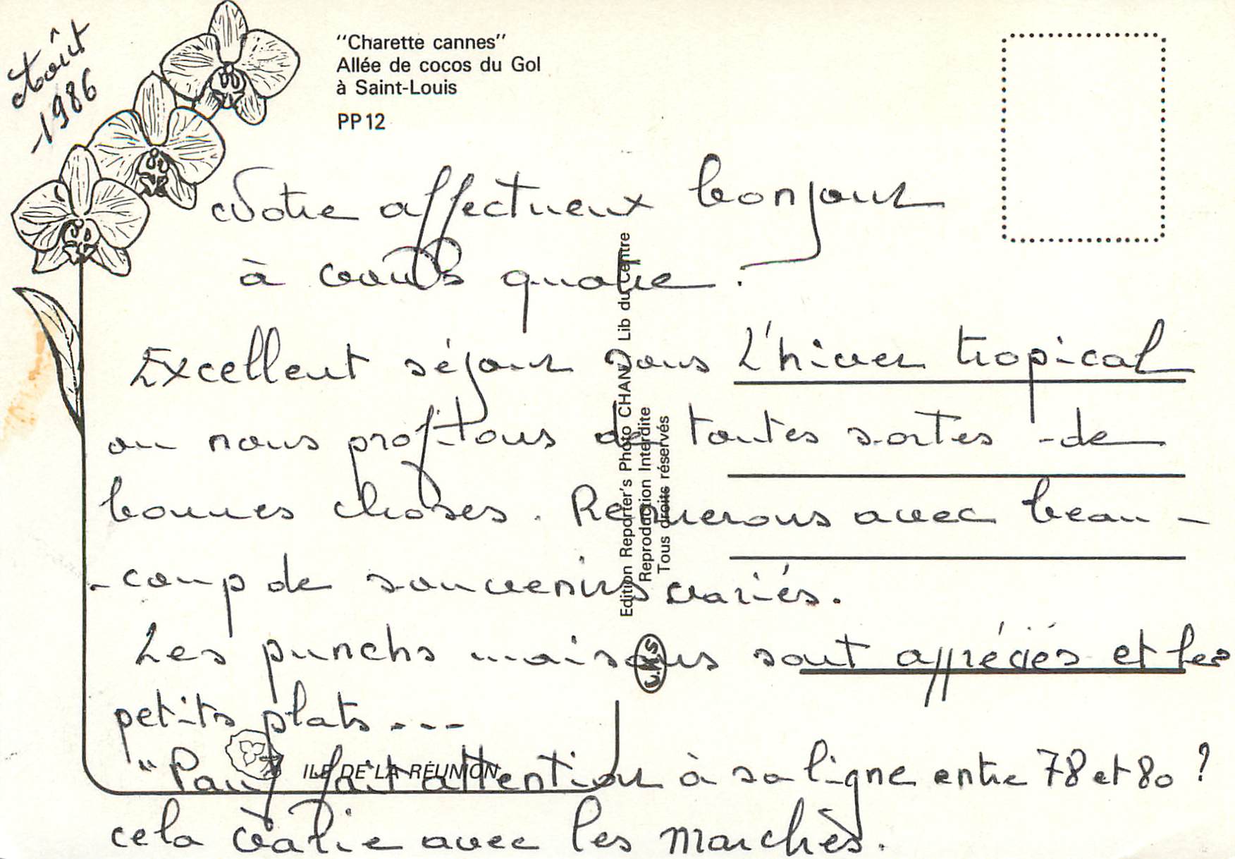 CPM Ile de la Reunion Charette cannes Allee de cocos du Gol a Saint Louis  — Rückseite