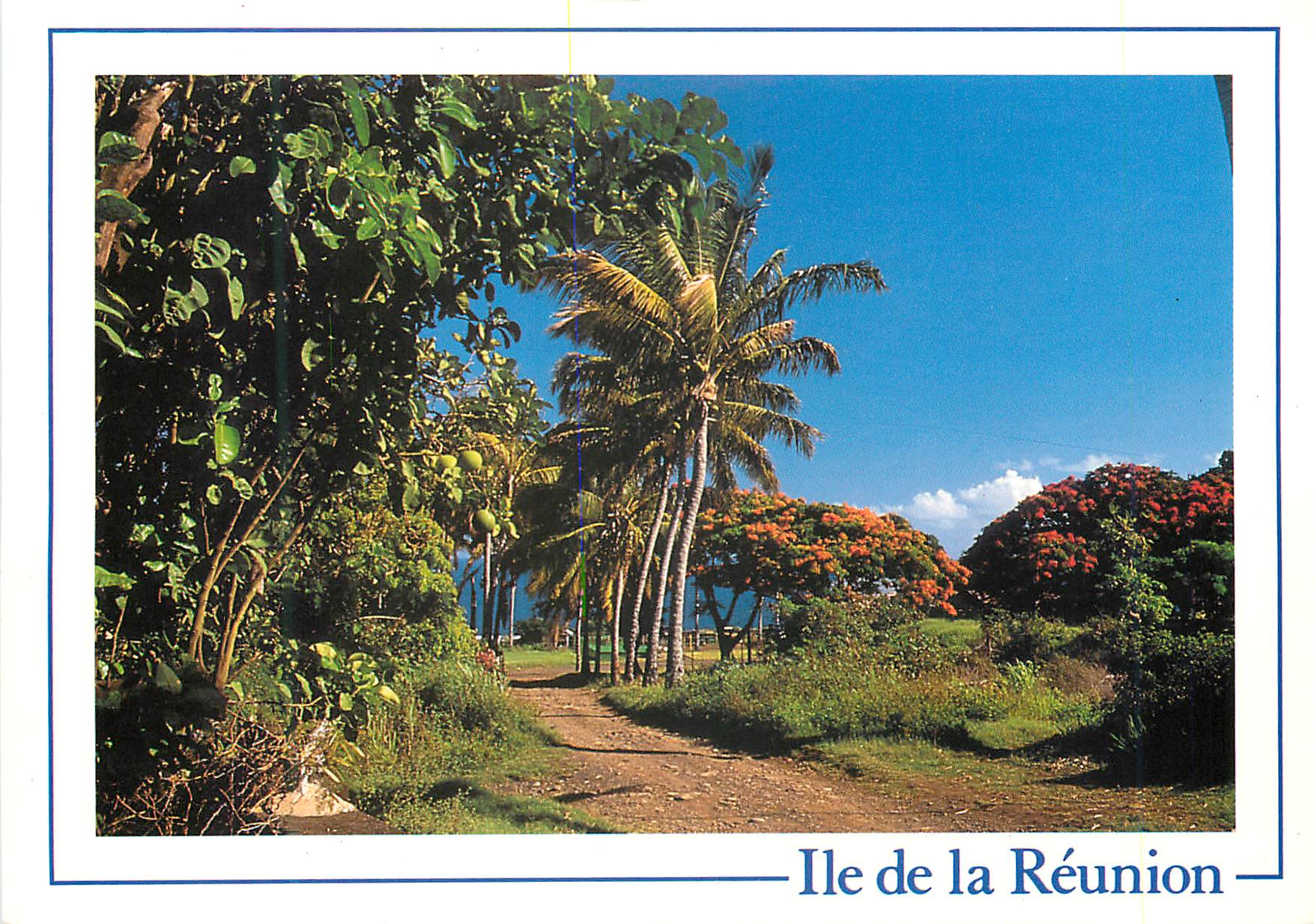 CPM Ile de la Reunion Cocotiers a Sainte Marie 