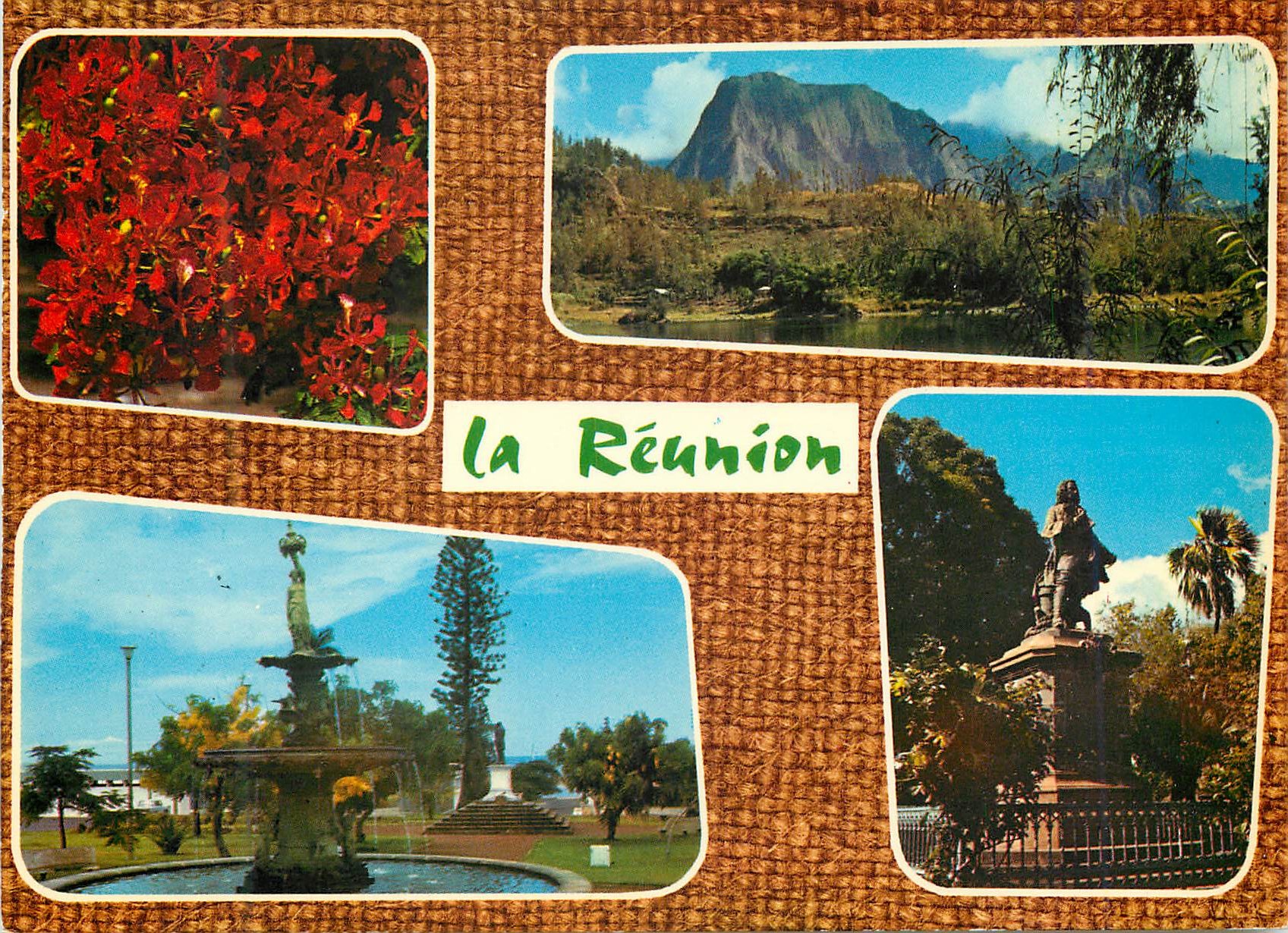 CPM L Ile de la Reunion Fleurs de Flamboyants La mare a poule d eau 