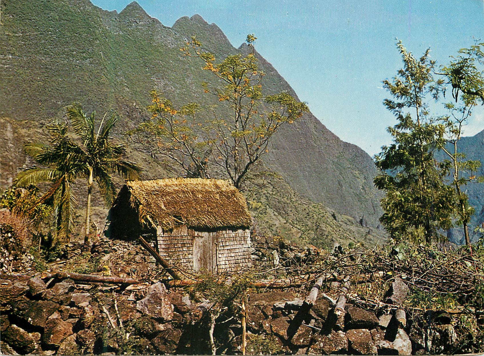 CPM La Reunion Paysage typique des hauts 