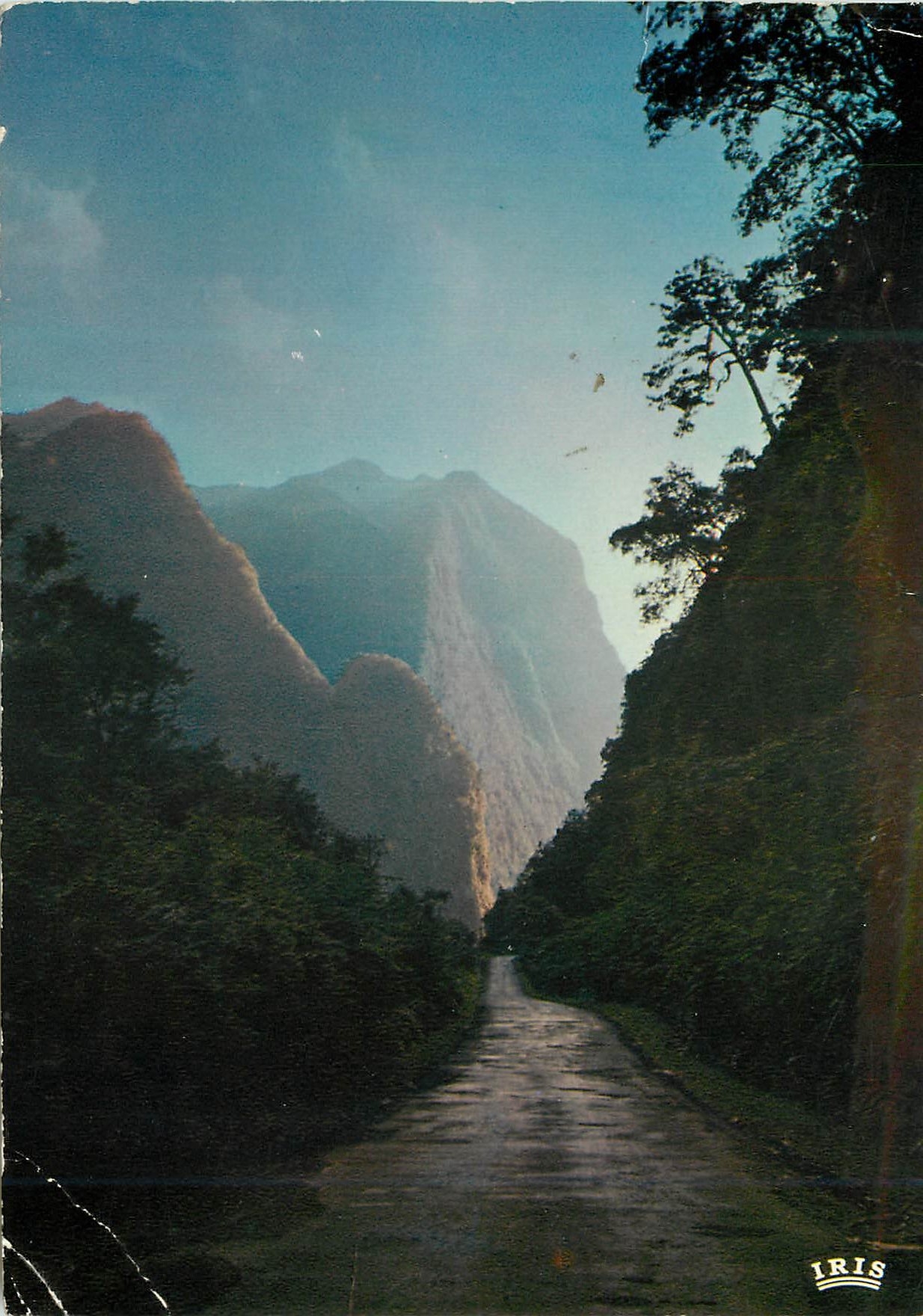Route de montagne à La Réunion — éditeur IRIS, série MEXICHROME
