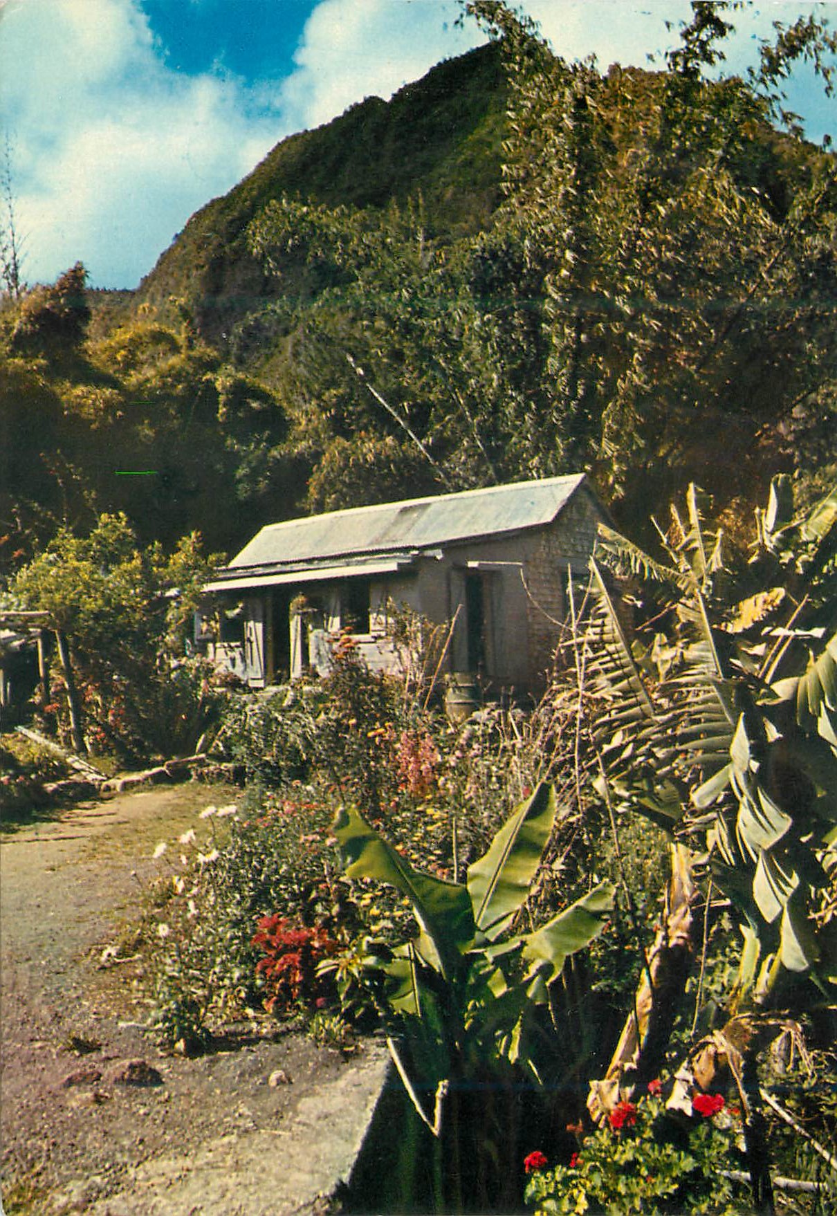 CPM Ile de la Reunion Les hautes de l ile 