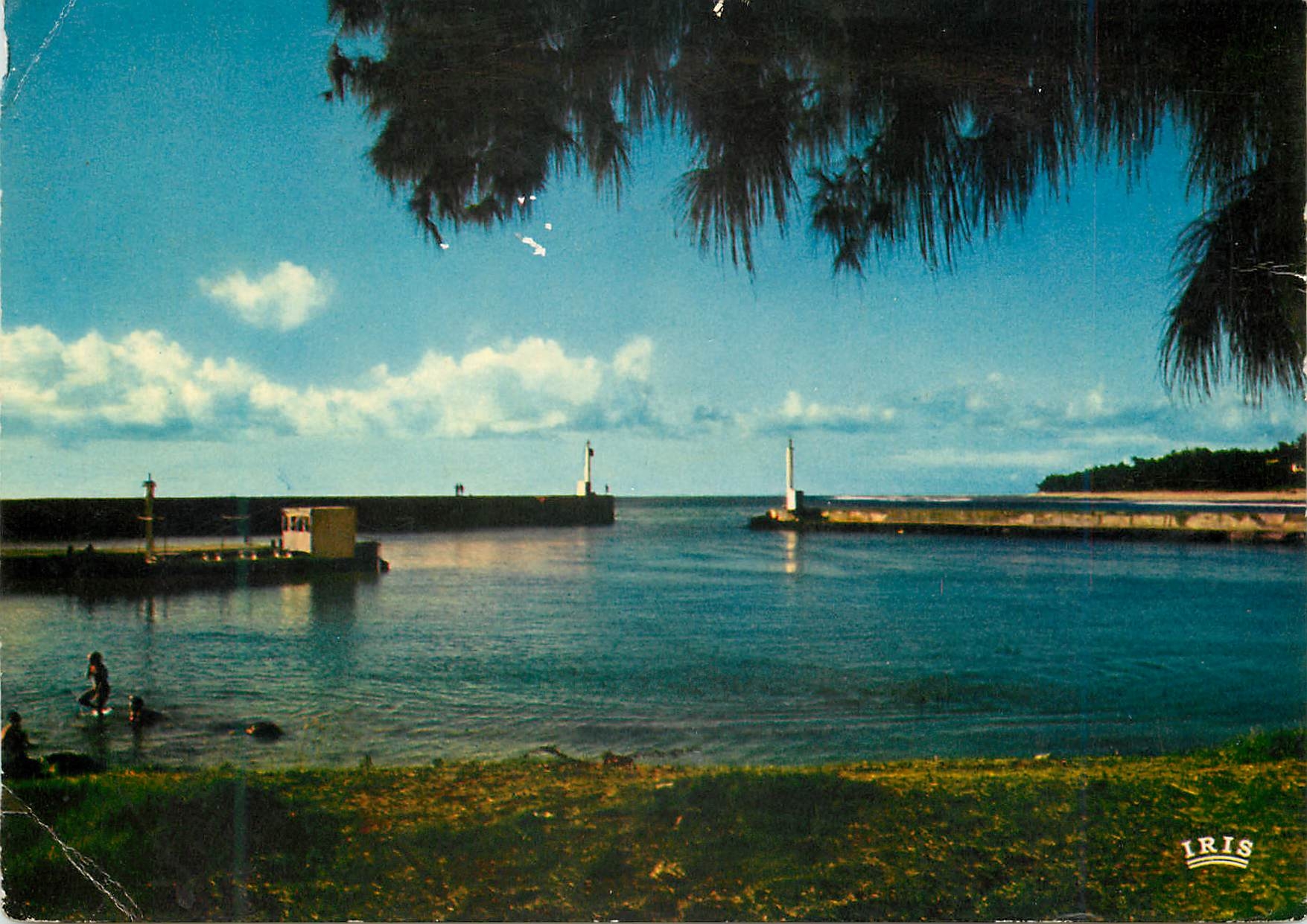 CPM La Reunion Contre jour sur le port de St Gilles 