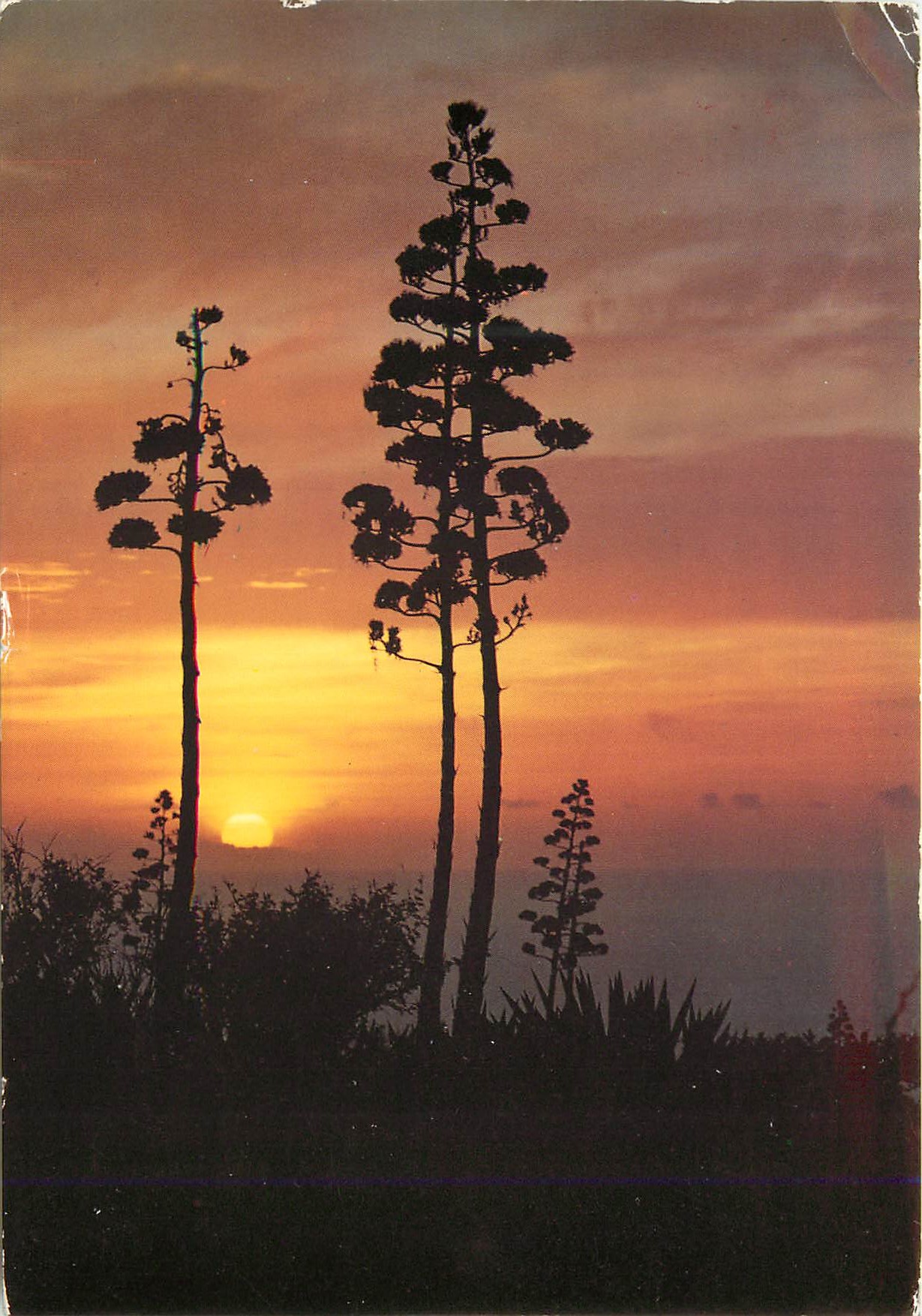 Coucher de soleil — St-Gilles-les-Hauts, Île de la Réunion — Photographies J.C. Nouault