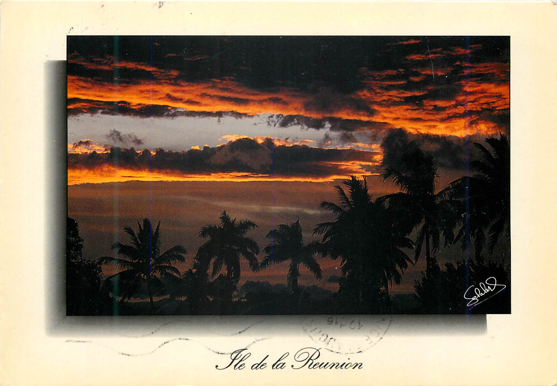CPM Ile de la Reunion Coucher de soleil Allee de Cocotiers 