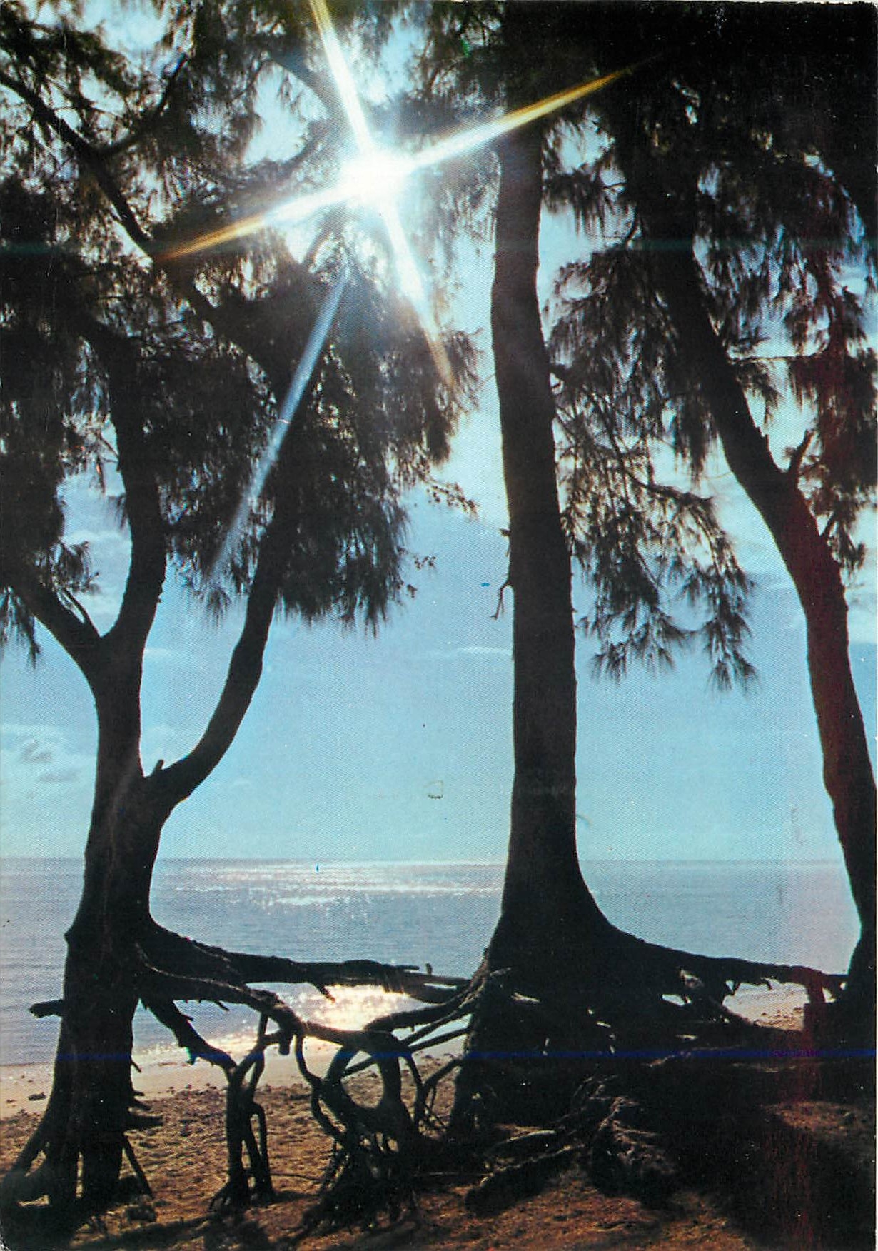 CPM Ile de la Reunion Saint Gilles Les Filaos 