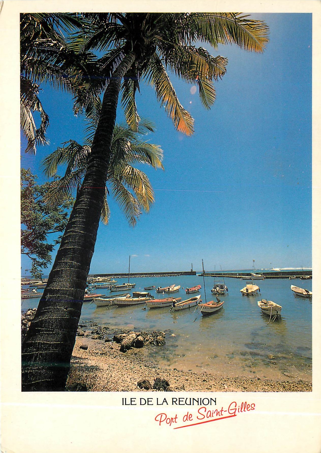 CPM Ile de la Reunion Port de Saint Gilles 