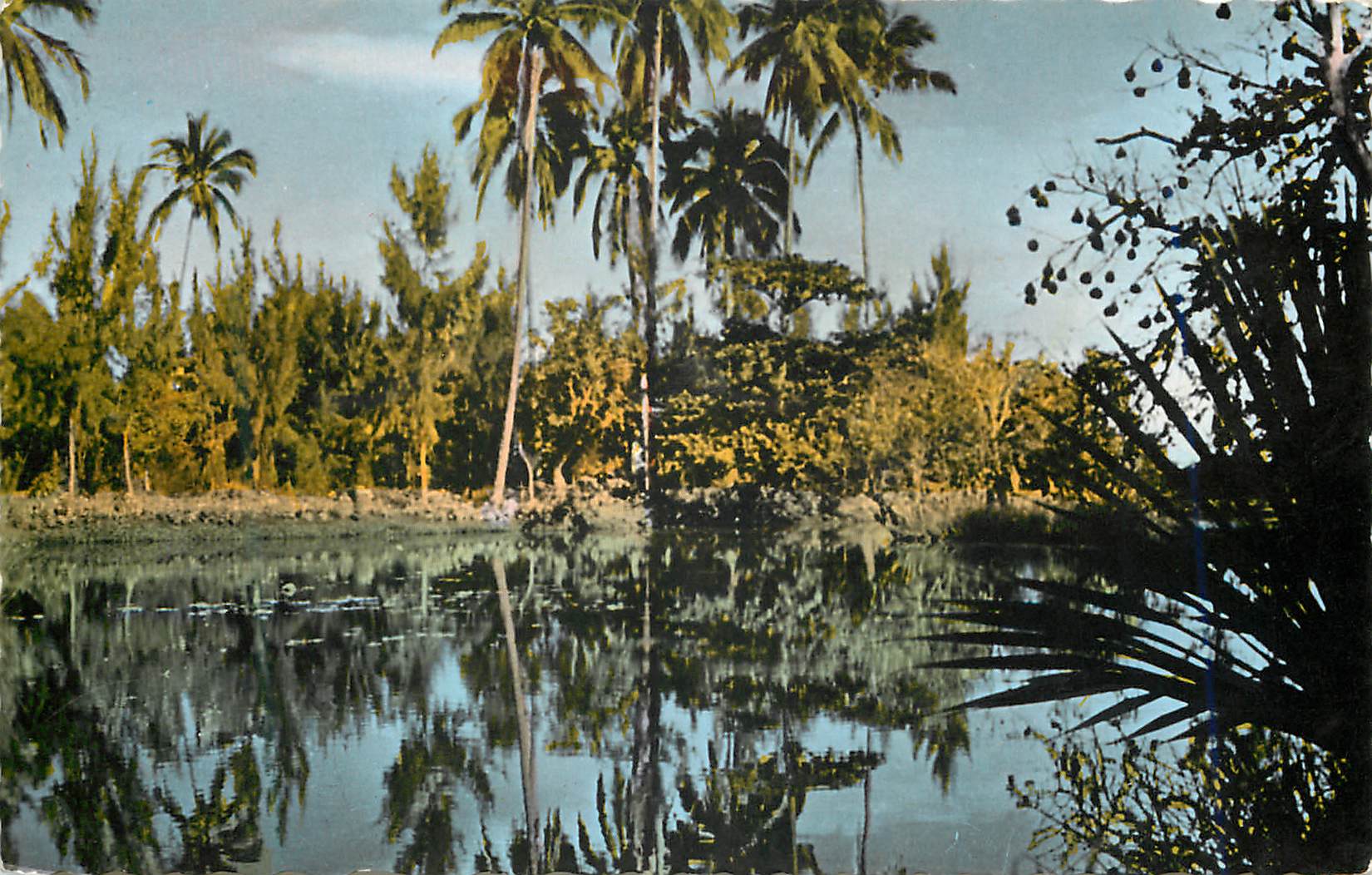 CPM Ile de la Reunion De Saint Paul A Savanna 