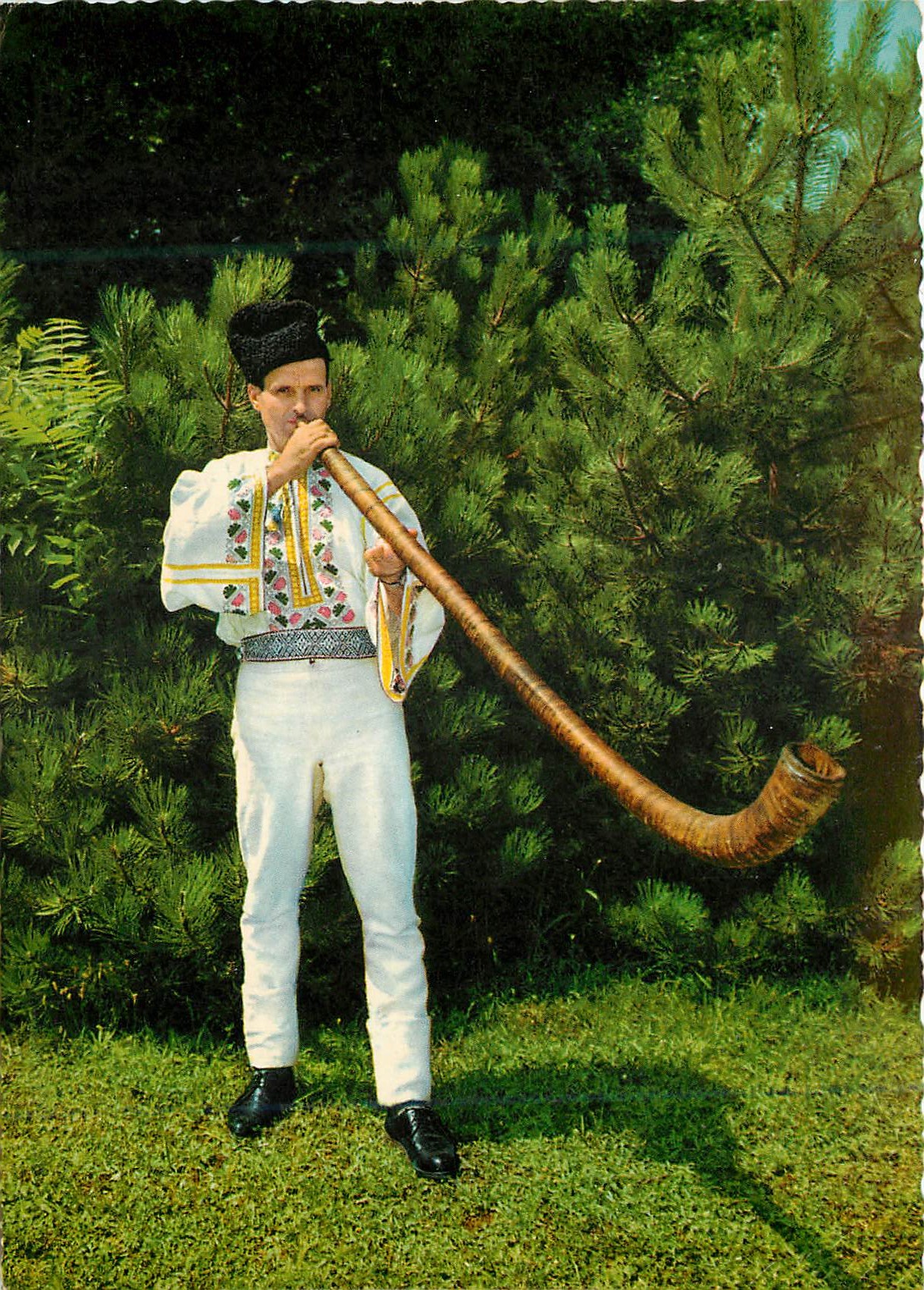 CPM Romania Alphora Blaser aus den Vrancei Bergen Folklore 