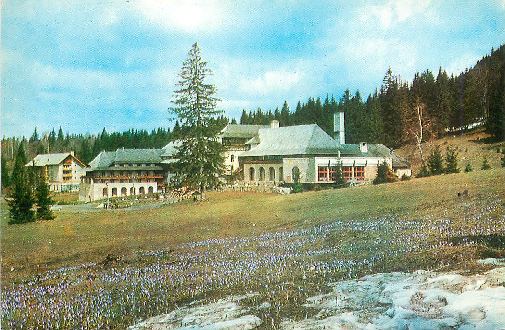 CPM Poiana Brasov Hotel Sport 
