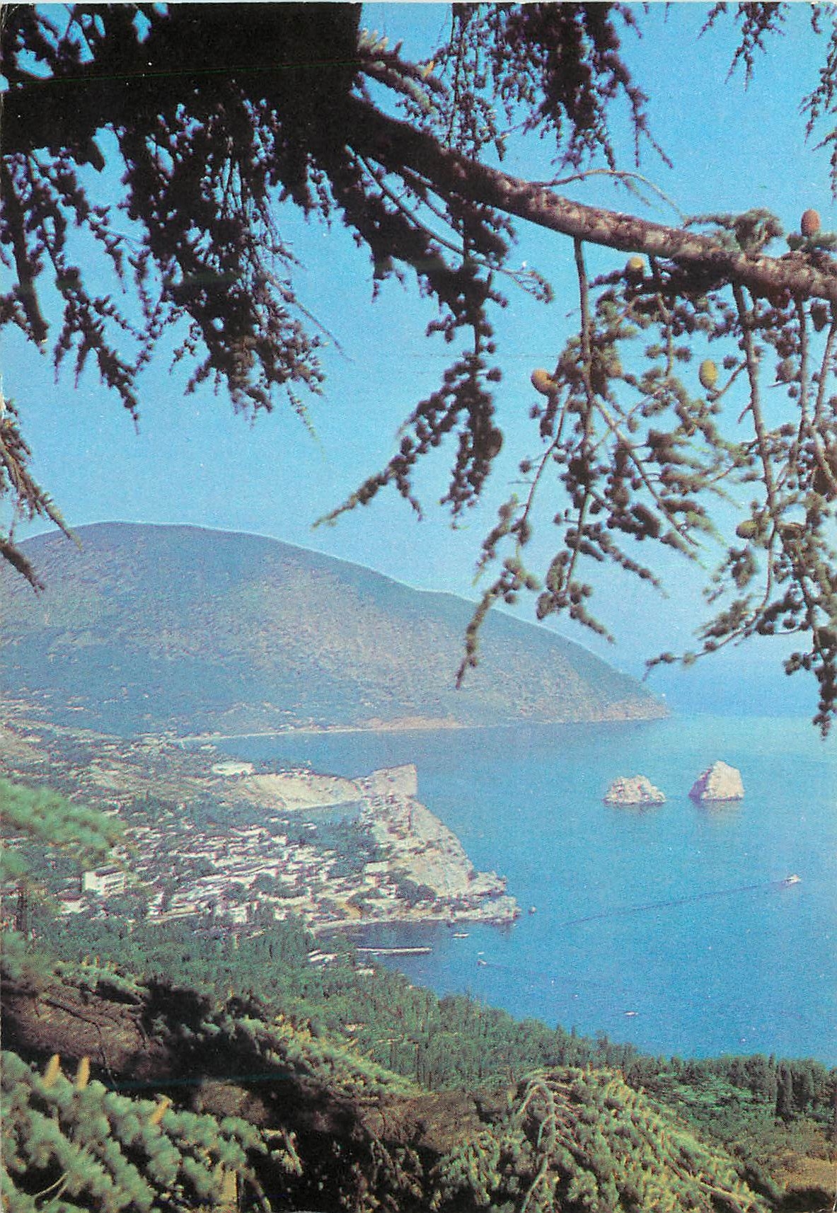 CPM Crimee Le Mont Ayu Dag Mont de l'Ours 