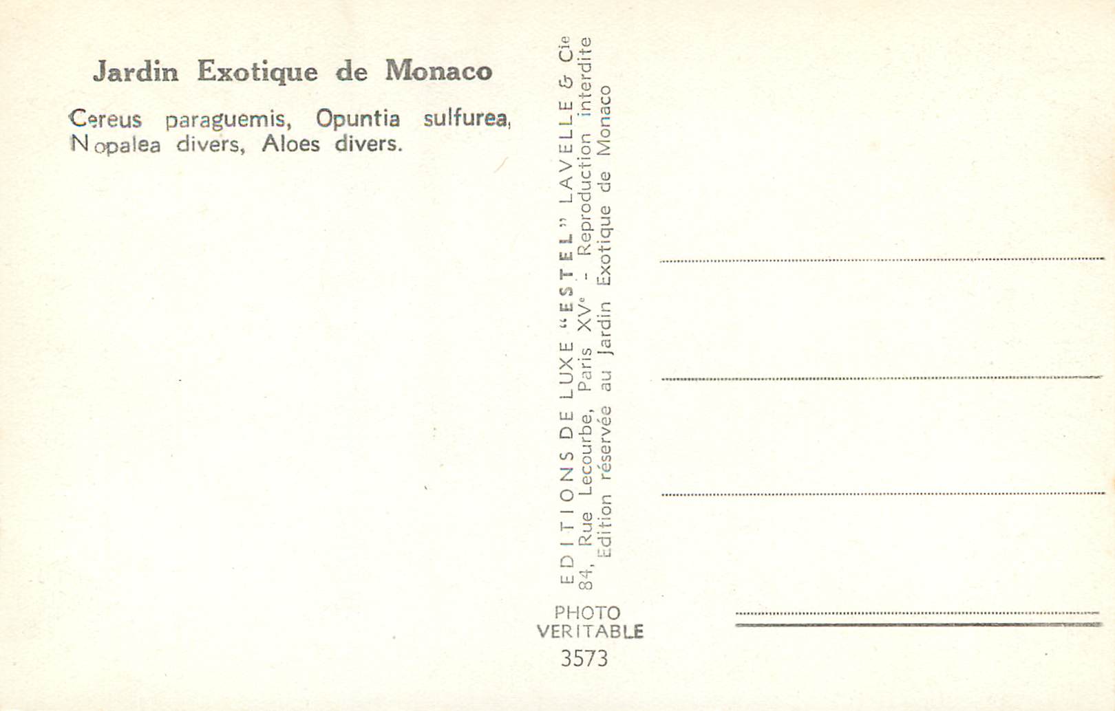 CPA Jardin Exotique de Monaco Cereus paraguemis Opuntia sulfurea  — Rückseite