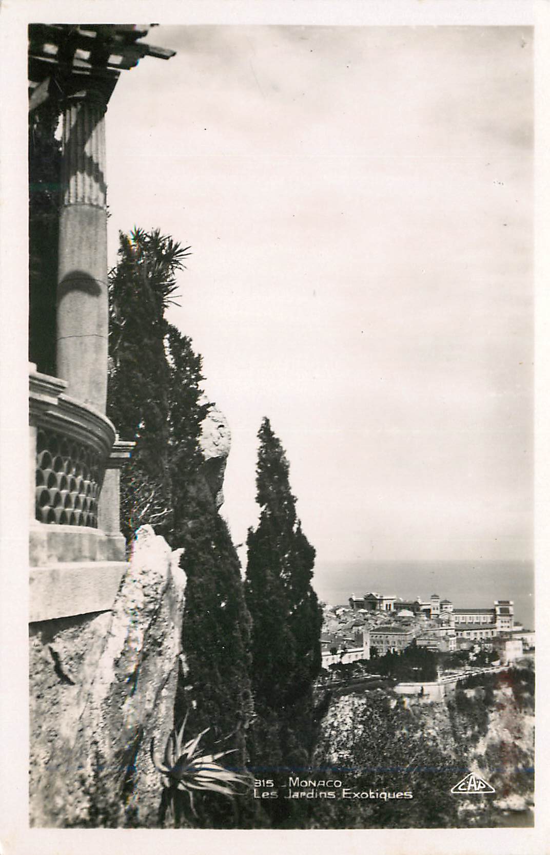 CPA Monaco Les Jardins Exotiques 