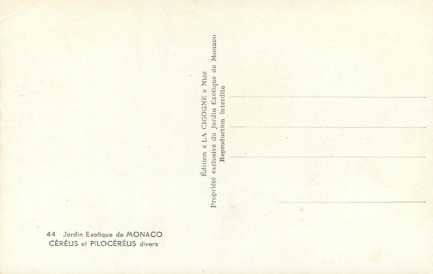 CPM Jardin exotique de Monaco Cereus et Pilocereus divers  — Rückseite