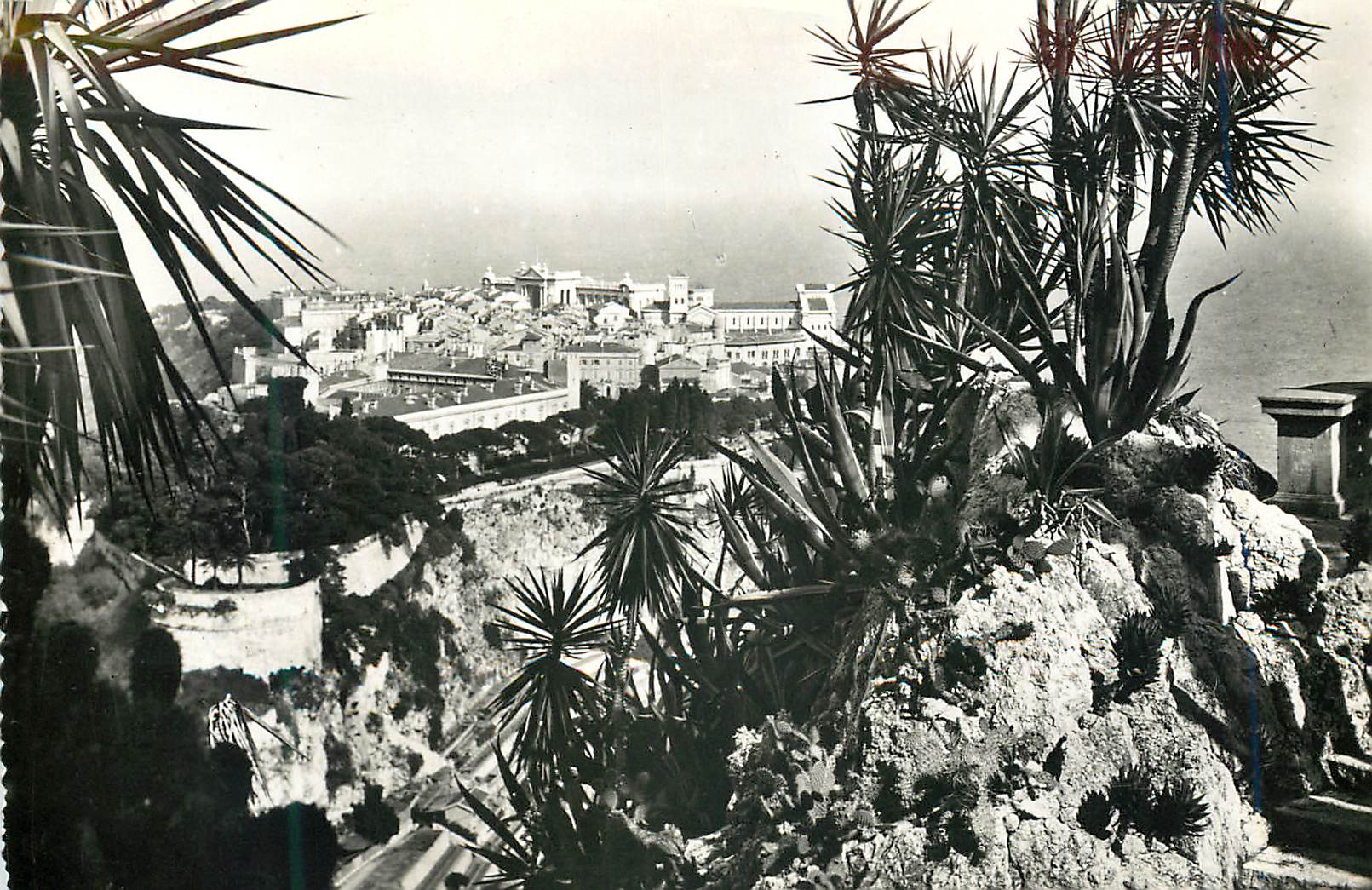 CPM Monaco Le rocher vu du Jardin exotique 