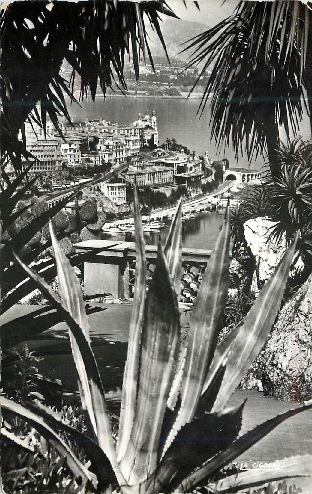 CPM Monte Carlo et le casino vus du Jardin exotique 