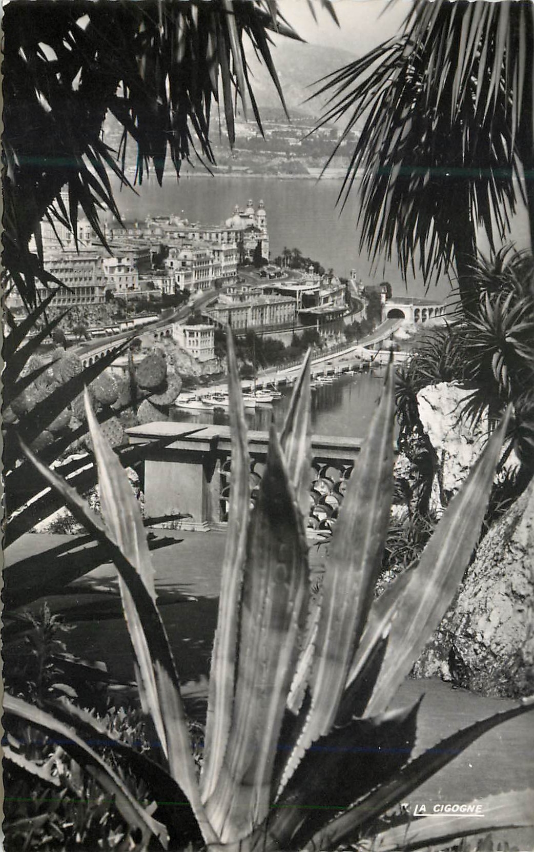 CPM Monte Carlo et le casino vus du jardin exotique 