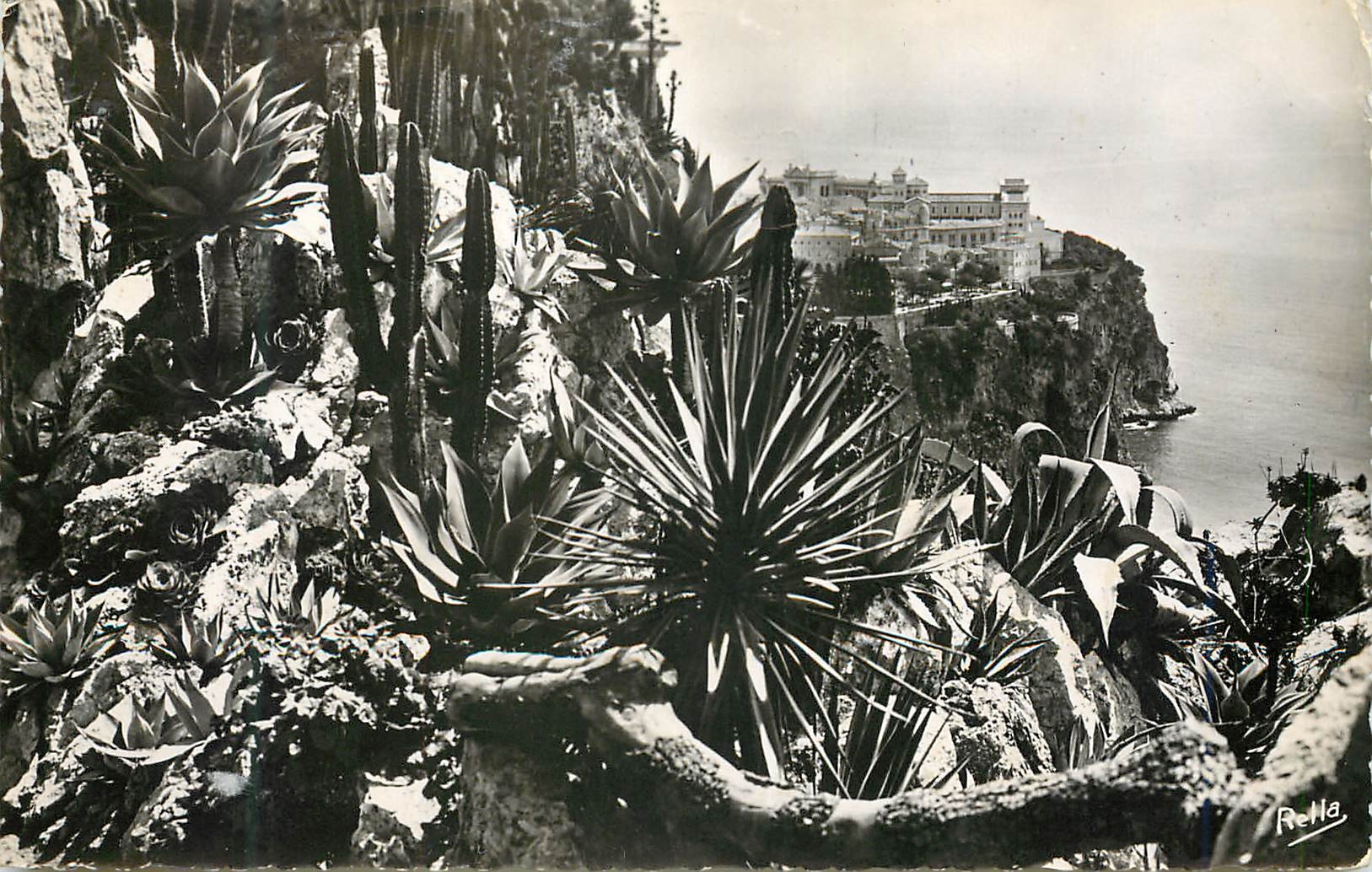 CPM La Cote d Azur Le rocher de Monaco vu du Jardin exotique 