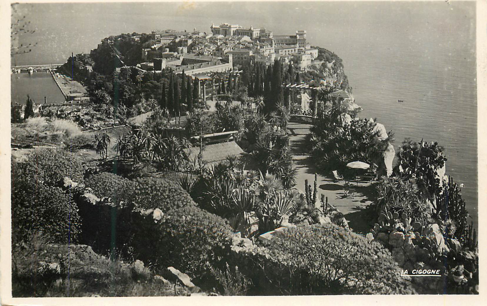 CPM Monaco Le rocher et les jardins exotiques 