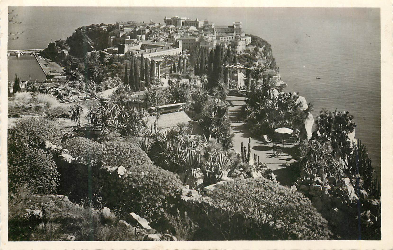 CPM Monaco Le rocher et les Jardins exotiques 