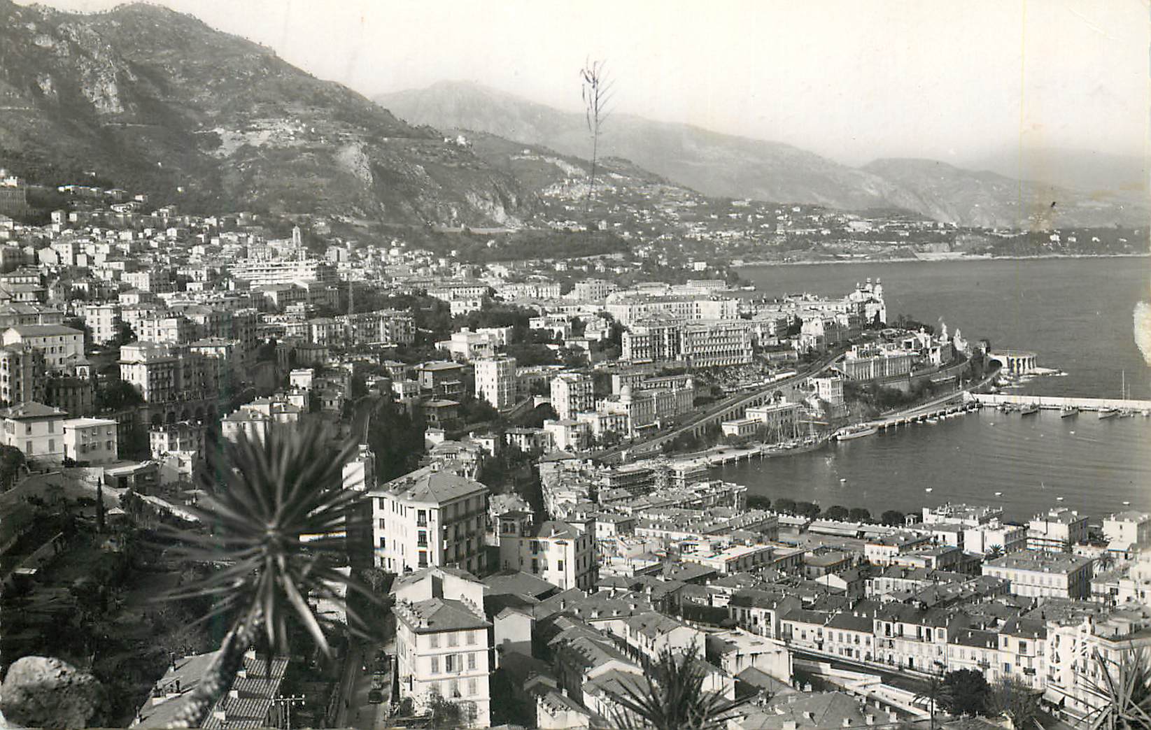 CPM Monte Carlo Vue generale 
