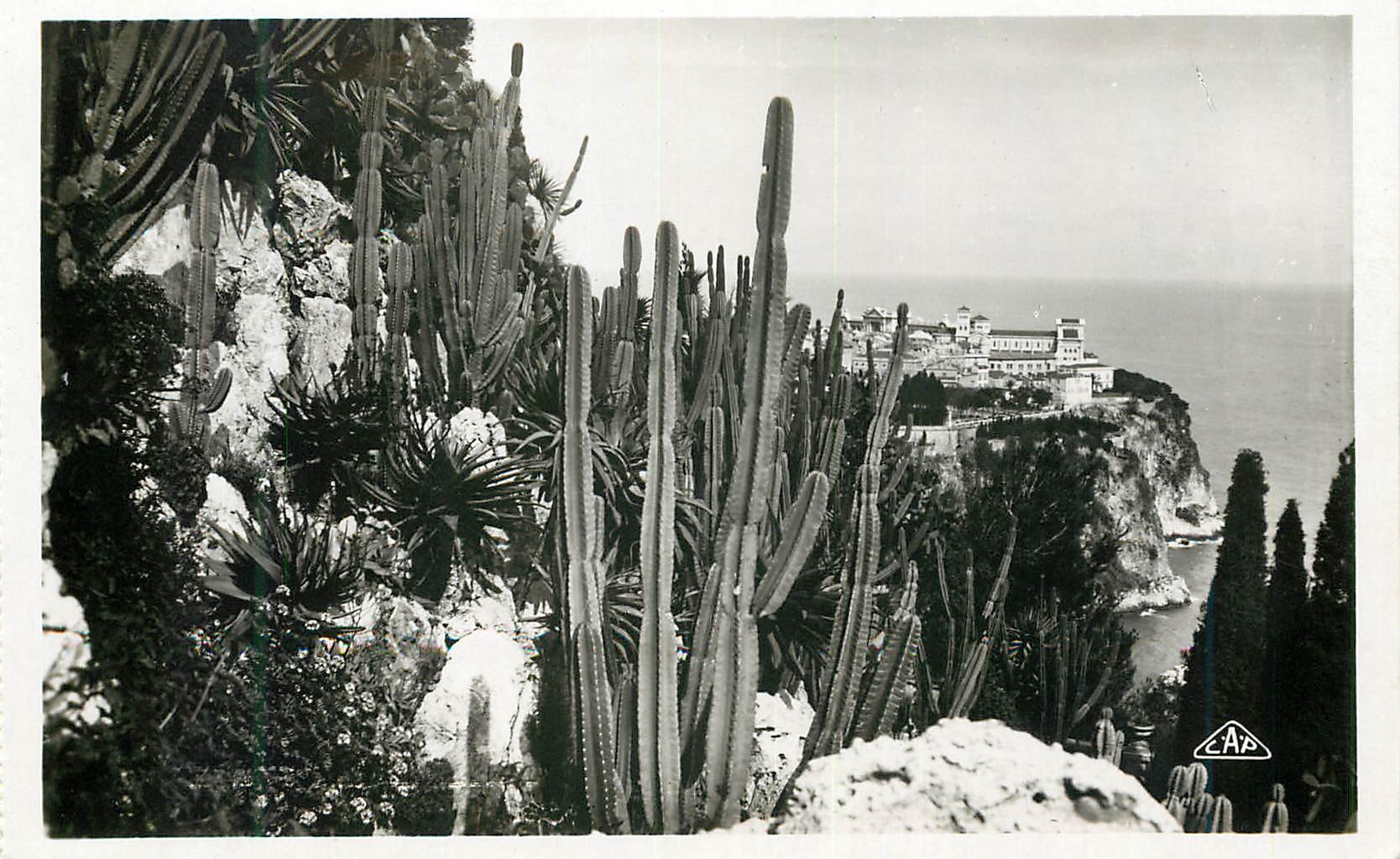 CPM Monaco Les jardins exotiques et un coin du rocher