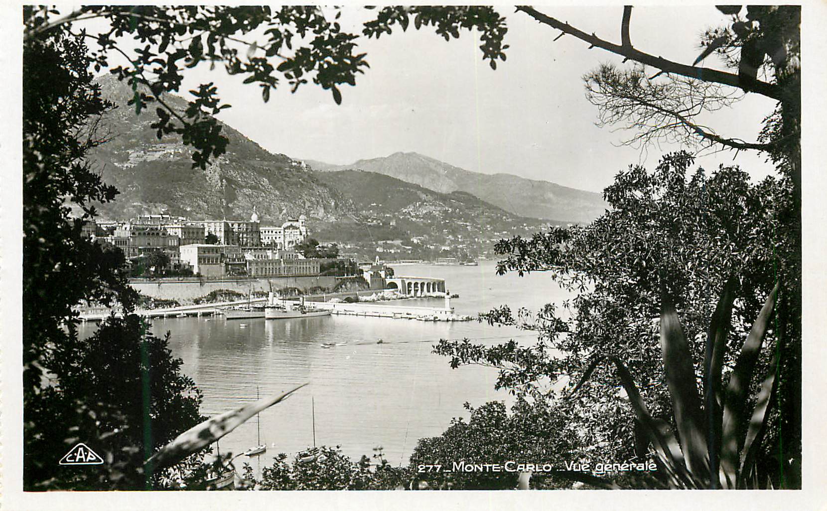 CPM Monte Carlo Vue generale 