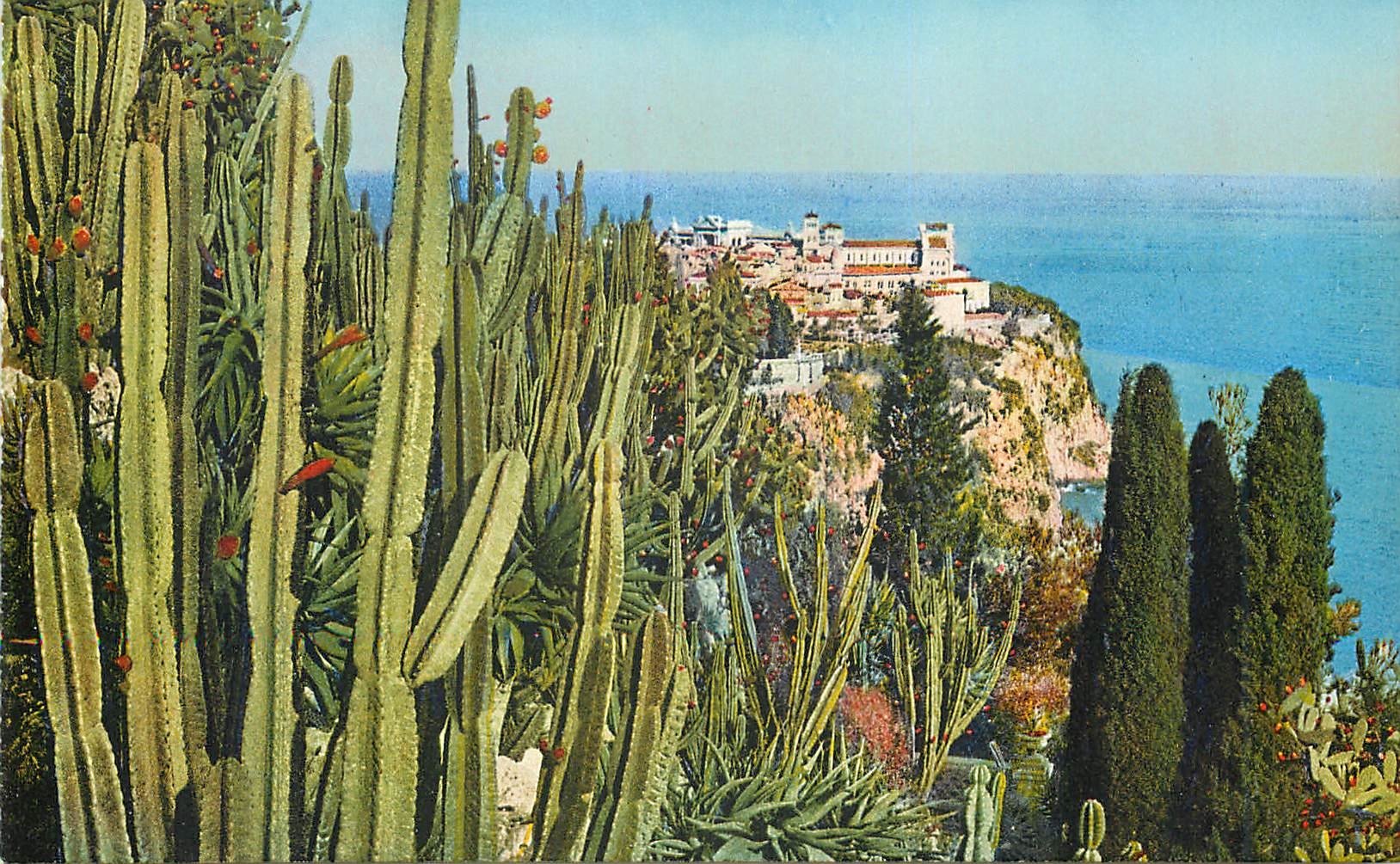 CPA Jardin exotique de Monaco Vue sur le rocher de Monaco Cereus Aloes et opuntia divers 