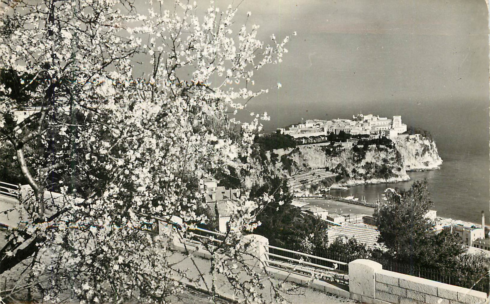 CPM Monaco est tout en fleurs ses parfums grisent nos coeurs 