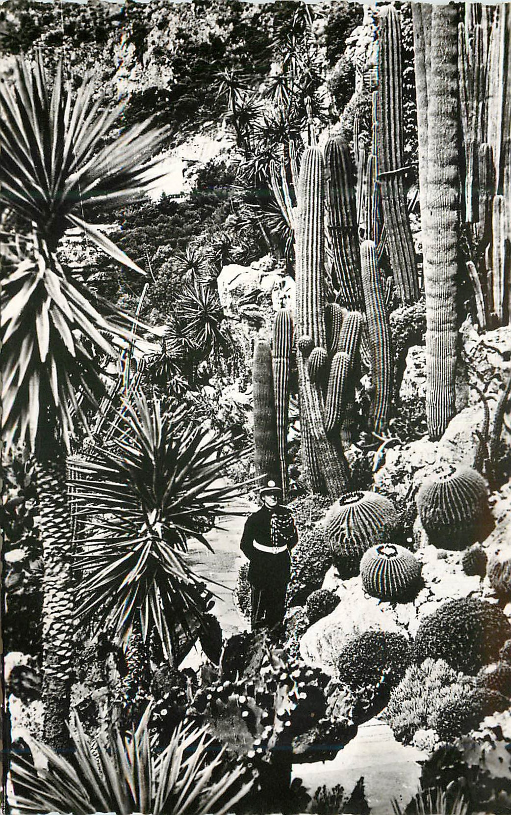 CPM Principaute de Monaco Plantes exotiques 