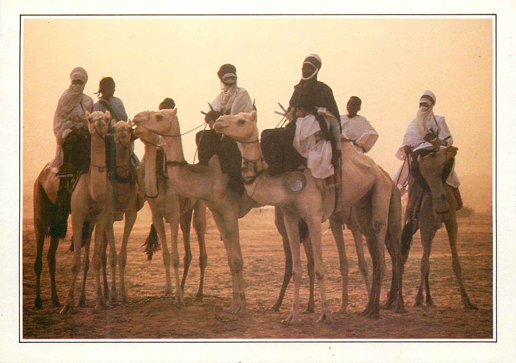 CPM Teguidda N Tessoumt La cure salee Niger 