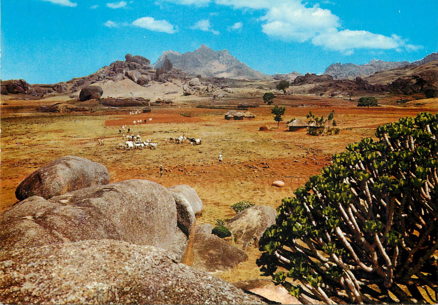 CPM Cattle ranch Jos Benue Plateau State Nigeria 