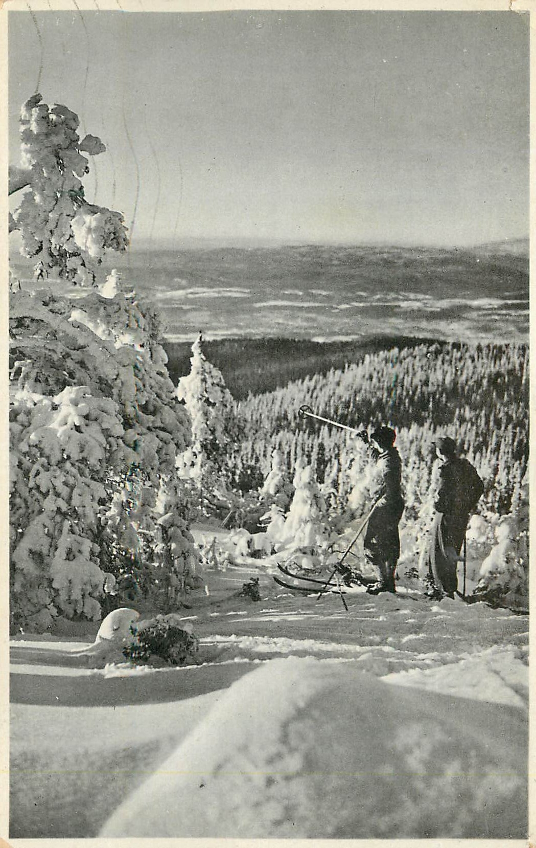 CPA Norvege Ski