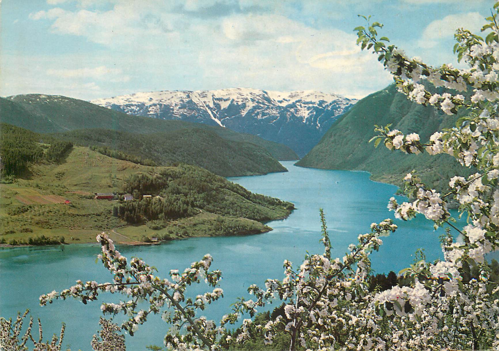 CPM Norway View of the Ulvik fjord Hardanger 