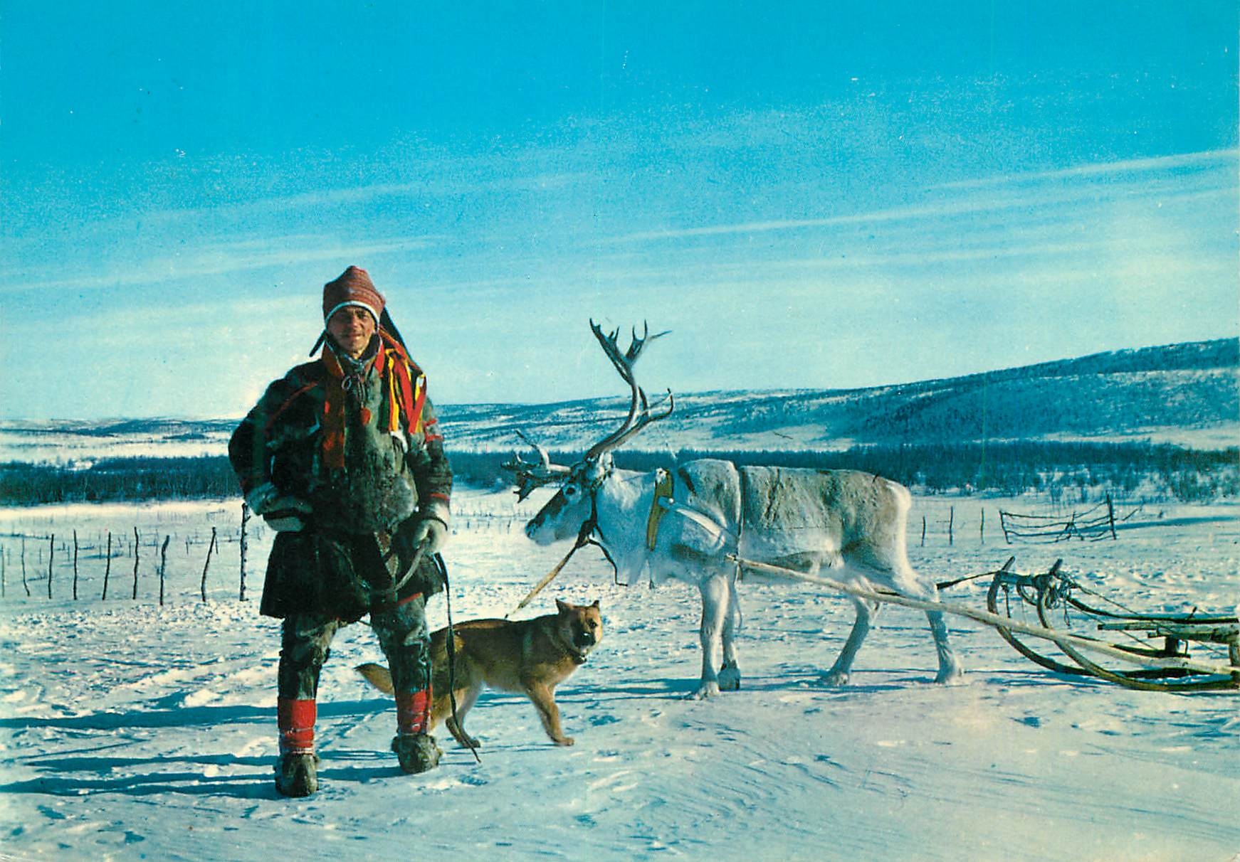 CPM Norway Lapp with his reindeer Folklore