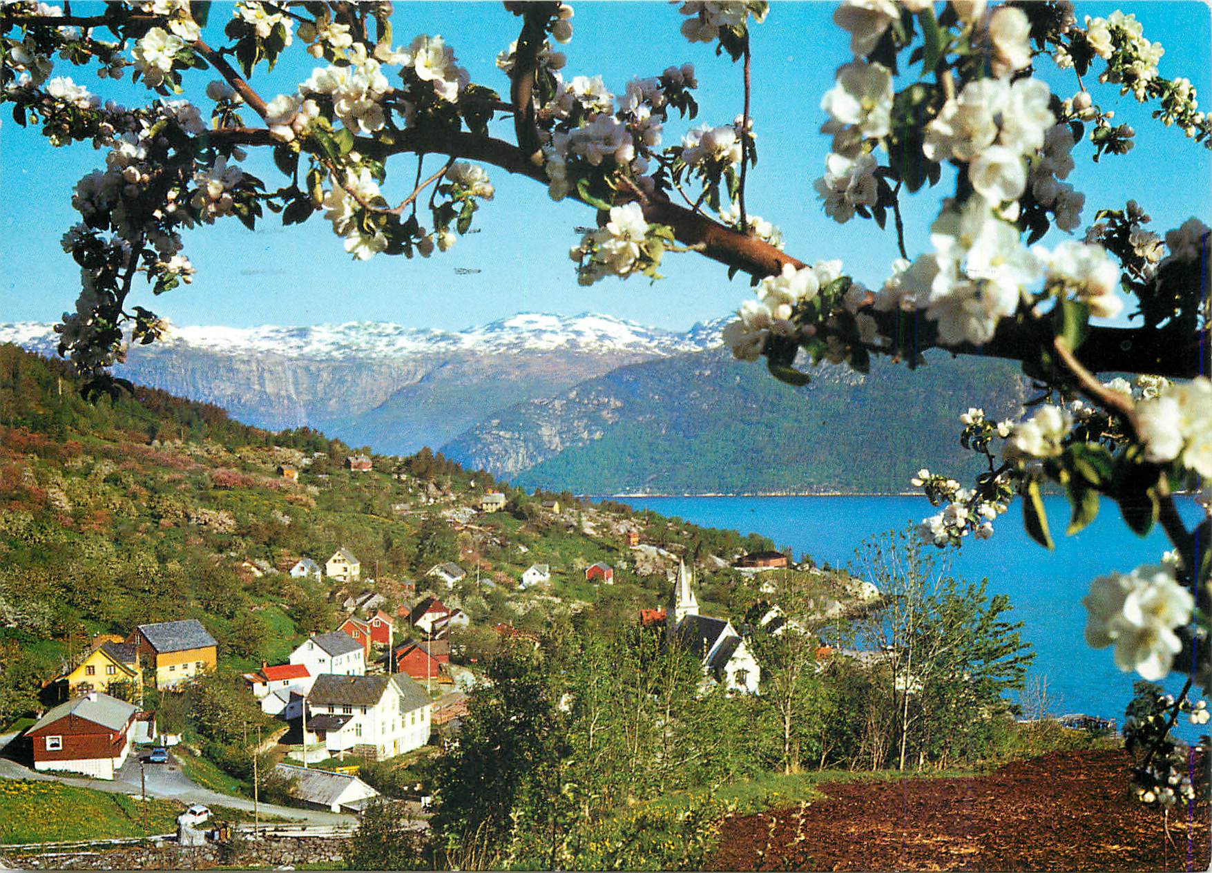 CPM Norge Utne Hardanger 