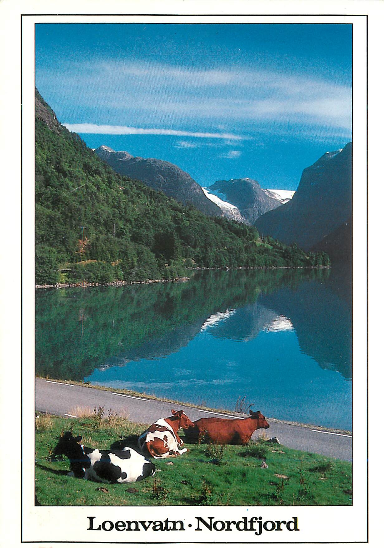 CPM Norge Loenvatn 