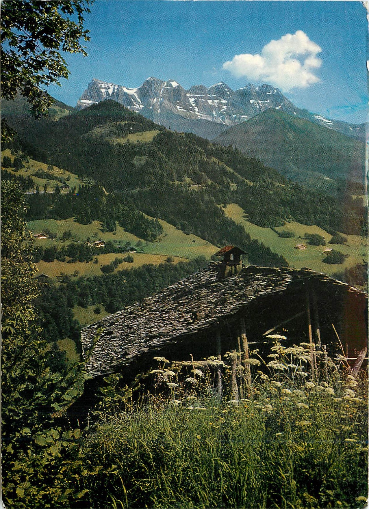 CPM Champery Val d Illiez les ents du midi 