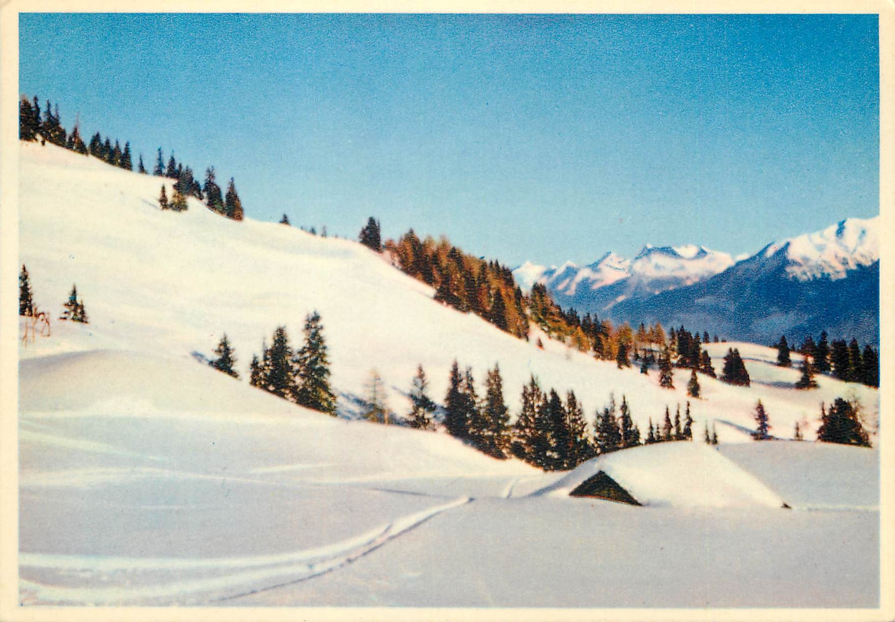 CPM Crans s Sierre Les pentes du Mont Lachaux le Monte Leone 
