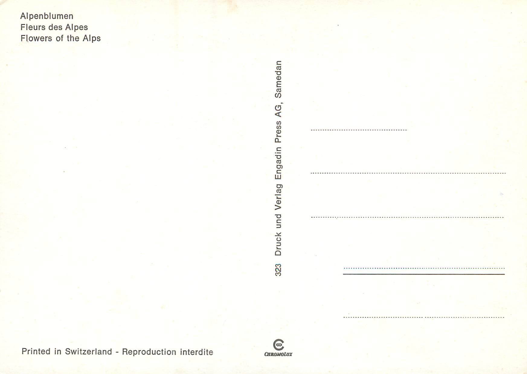 CPM Fleurs des Alpes  — Verso