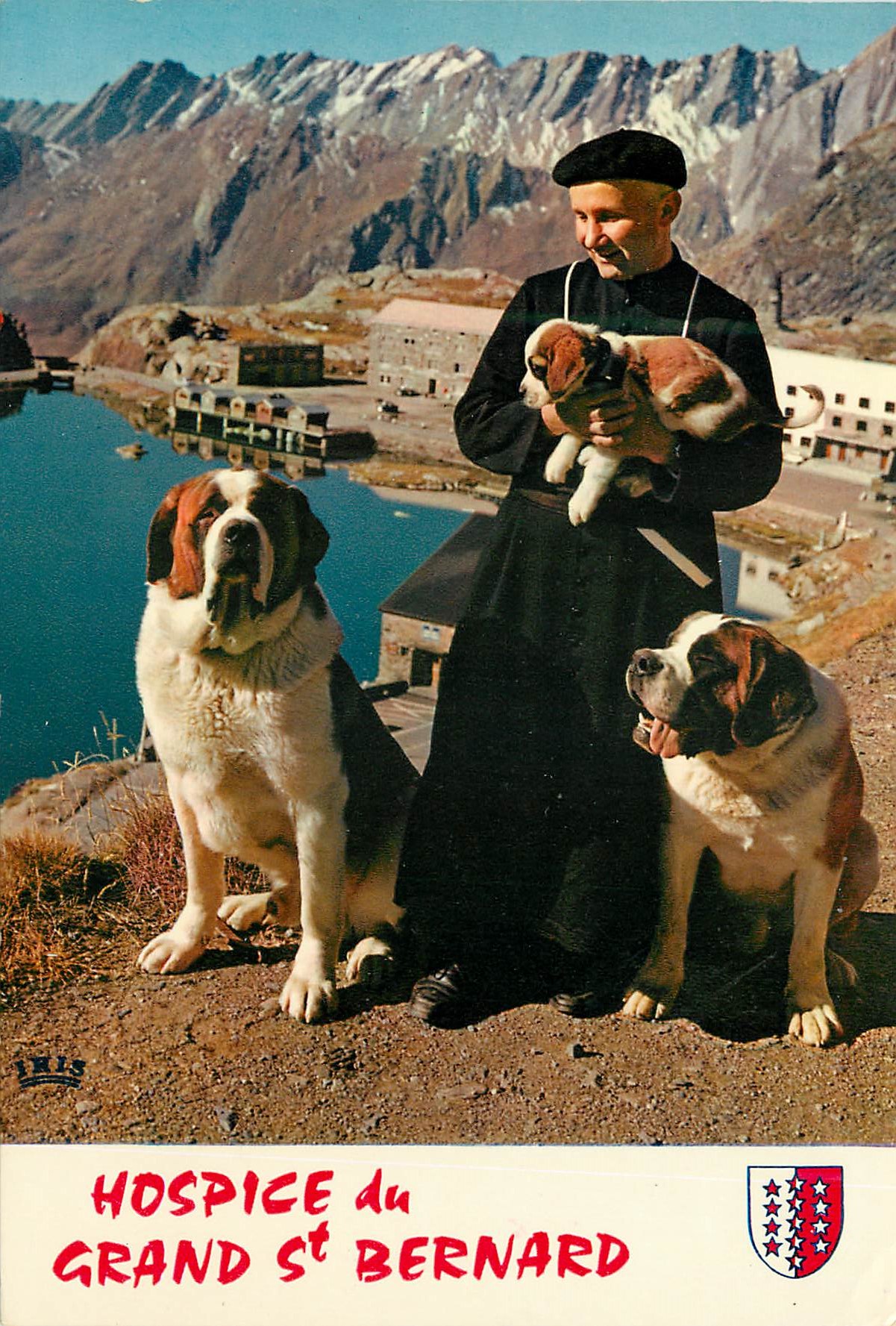 CPM Grand Saint Bernard Chanoine et Chiens de l Hospice Chiens