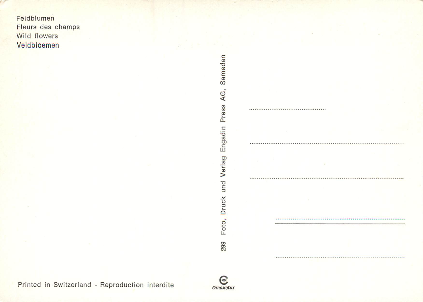 CPM Fleurs des champs  — Verso
