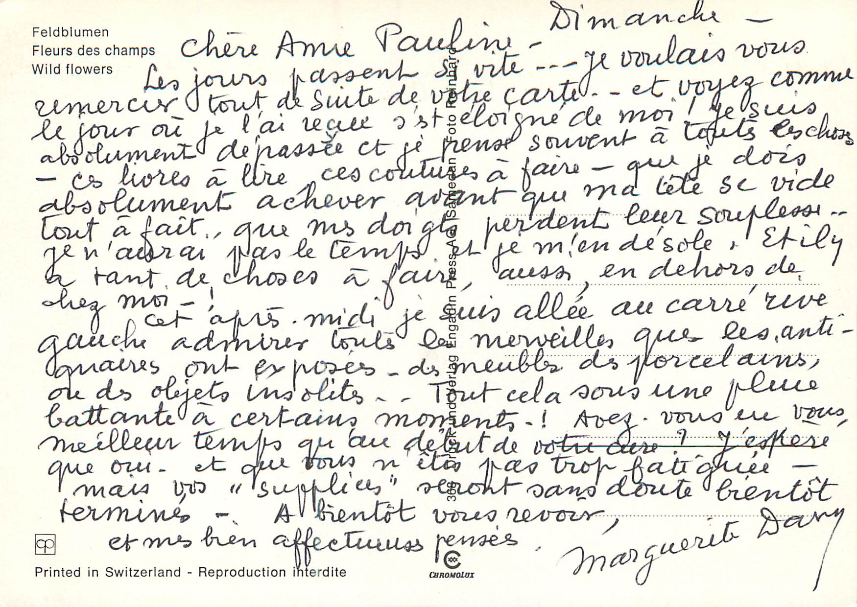 CPM Fleurs des champs  — Verso